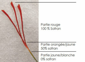 Filaments de safran